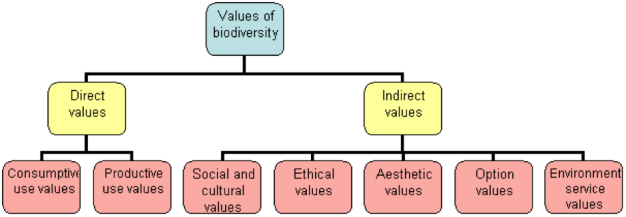 aesthetic value of biodiversity