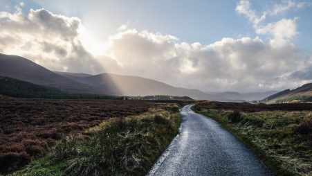 The road to Glen Feshie